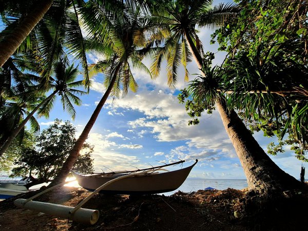 10 témoignages étonnants de voyageurs en croisière