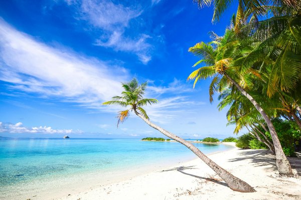 Camping tout inclus en hiver : une expérience inoubliable